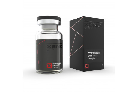 Xeno Labs Testosterone Enanthate 250 (USA DOMESTIC)